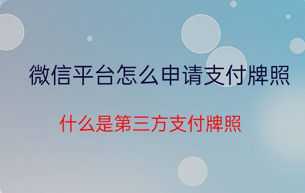 微信平台怎么申请支付牌照 什么是第三方支付牌照？